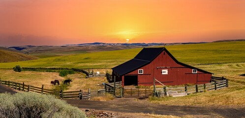 A very red barn at sunset, horses and a wheat field near Ruggs, Oregon © Bob