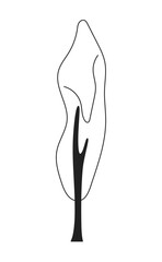 Single park tree monochrome flat vector object. Tall decorative plant. Editable black and white thin line icon. Simple cartoon clip art spot illustration for web graphic design