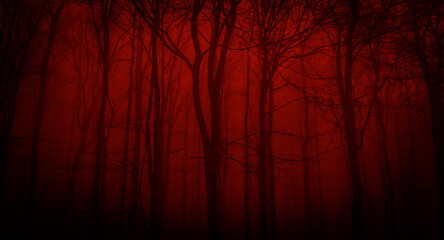 Silhouettes of trees on a red background. Horror or ecological concept. Red light and silhouette of trees.