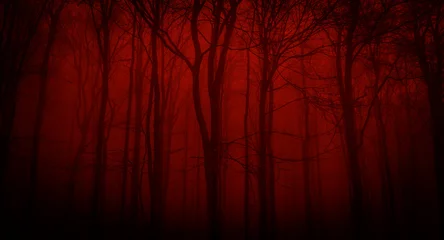 Foto auf Acrylglas Braun Silhouettes of trees on a red background. Horror or ecological concept. Red light and silhouette of trees.