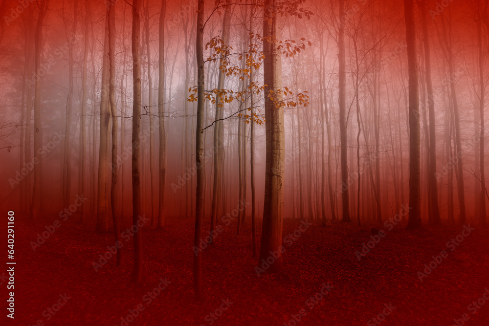 Poster silhouettes of trees on a red background. horror or ecological concept. red light and silhouette of 