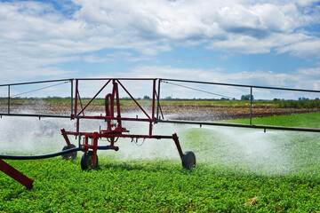 modern irrigation system watering in the field