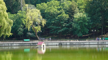 bird house on the river