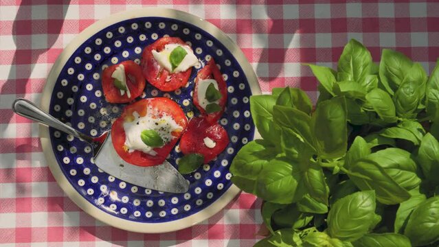 saftige Tomaten, in Scheiben mit Burrata, Basilikum und Salz und Pfeffer. Auf rustikal Teller, auf bayrisch, rot wei&szlig; karierte Tischdecke. Viel Schatten, sommerliches Licht
