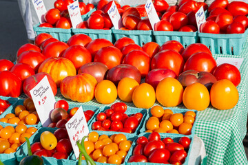 Fresh ripe tomatoes in early morning light at a local farmer's market