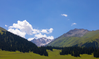 panorama of the mountains