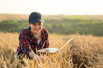 Woman farmer working with laptop on wheat field. Smart farming and digital agriculture..