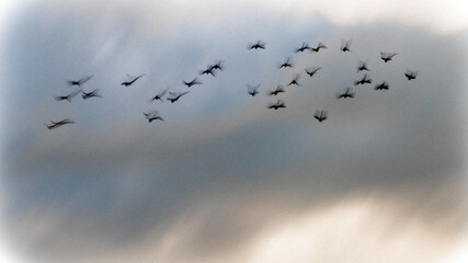 a wing beat, escaping into the air