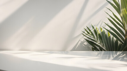 Beauty white wall background with palm tree leaves and blurred foliage shadows. Minimal white background for product placement, product showcase, and product presentation. - Powered by Adobe