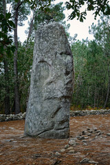 Carnac, Brittany, France. Prehistoric menhir standing stone known as the Manio Giant or Le Geant du...