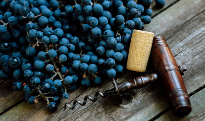 Vintage corkscrew with ripe grapes lay on a rustic wood table. Concept of autumn, vineyards, winemaking - obrazy, fototapety, plakaty
