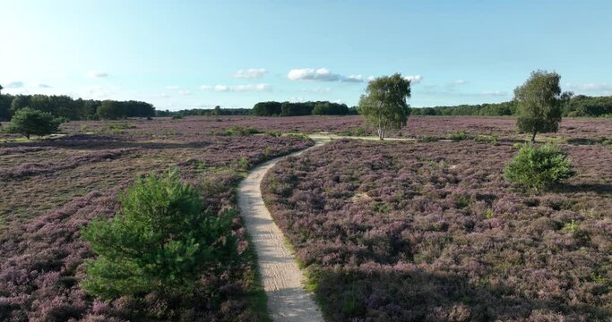 Aerial drone view of The Gooi Nature Reserve is a nature reserve in the Gooi .