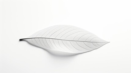 An image of a beautifully preserved leaf elegantly set against a white background.
