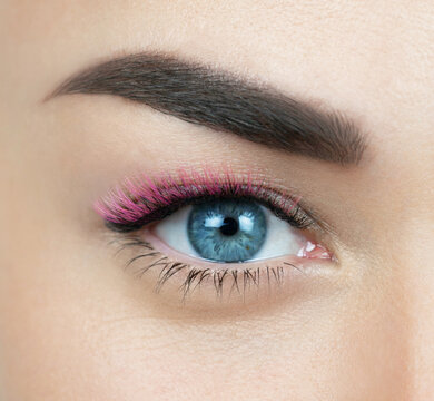 Macro shot of female blue eye with 2d 3d 4d volume long false lashes. Young woman with perfect eyes and beautiful black and pink colored eyelash extensions. Closeup beauty photo of lash extension 