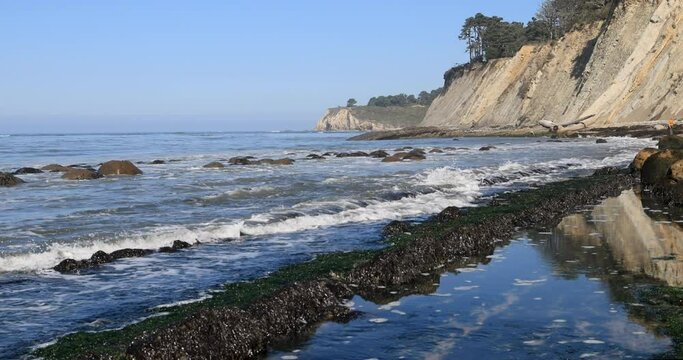 Bowling Ball beach cliff seaweed rocks northern California 4. Ocean shoreline coastal landscape. Rugged rocky cliffs, beautiful surf. Eco Tourism and family vacation. Western shore of the USA. Nature.