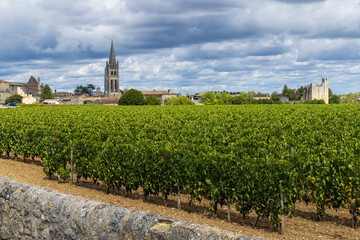 Fototapeta na wymiar Vineyards with Saint-Emilion town, Aquitaine, Gironde, France