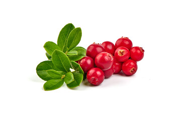 Wild cowberry (foxberry, lingonberry) with leaves, isolated on white background. High resolution...