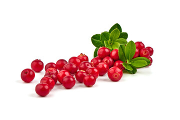 Wild cowberry (foxberry, lingonberry) with leaves, isolated on white background. High resolution image.
