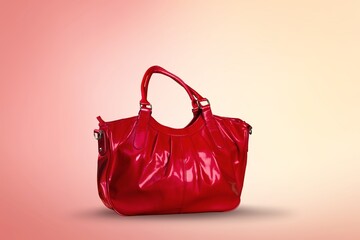 Modern trendy women's hand bag