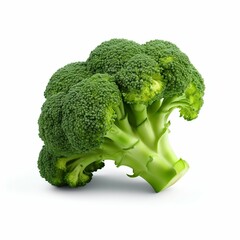 Vibrant Fresh Broccoli Isolated on White Background. Generative ai