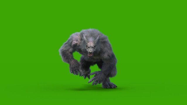 Werewolf Dark Fur Green Screen Runcycle Front Loop 3D Rendering Animation Horror