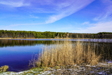 Widok na jezioro, las i błękitne niebo.