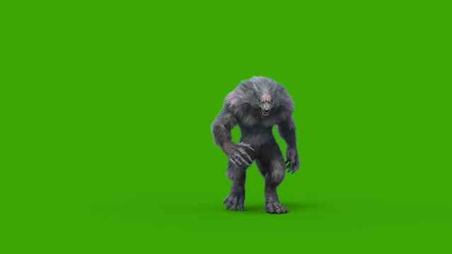 Werewolf Dark Fur Green Screen Walks Front 3D Rendering Animation Horror