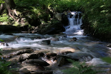 Wildbach, wandern entlang dem wilden Wasser