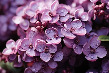Foto op Aluminium Generative AI - Background formed with close view lilac flowers © nastyakamysheva