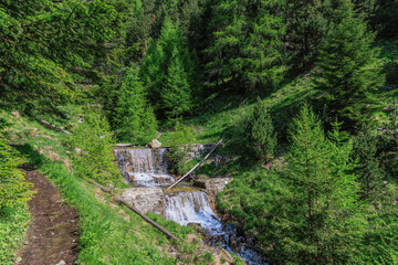 A scenics view of a mountain stream with waterfall and surrounded by pine trees