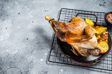 Baked Guineafowl, guinea fowl with potato in steel tray. Gray background. Top view. Copy space
