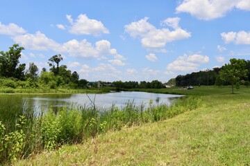 The peaceful pond in the country on a sunny day.
