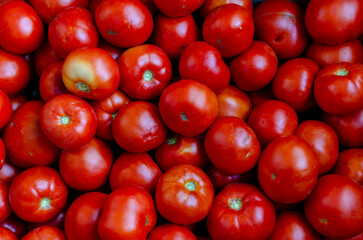Delicious red tomatoes. Summer tray farm agriculture market full of organic vegetables. It can be used as a background. (selective focus)
