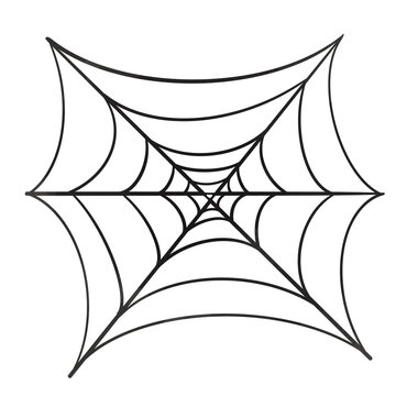 black and white spider spider web vector Halloween Spider Man animal scary cobweb 