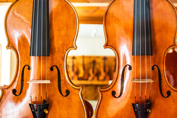 Fototapeta premium typical violin music instrument