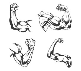 
Muscle Arms fitness gym vector design