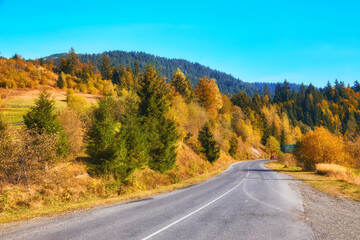 Serene Mountain Road Amidst Autumn Forest