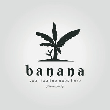 vector illustration minimalistic vintage banana tree logo icon design