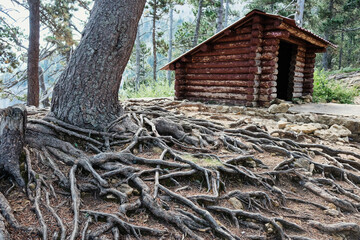 Wooden cabin in the forest
