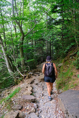 Woman trekking in the forest