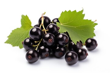 Fototapeta premium black currant isolated on white background