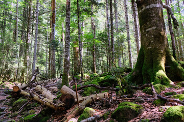 Ordesa and Monte Perdido National Park