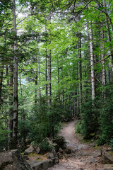 Ordesa and Monte Perdido National Park