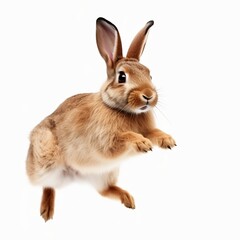 Fluffy bunny jumping on white background, illustration created with generative AI technologies	