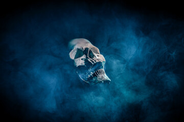 czaszka z dymem na czarnym tle do projektu lub horroru - obrazy, fototapety, plakaty