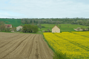 A yellow field of rapeseed during flowering and a plowed field in the background of the house.