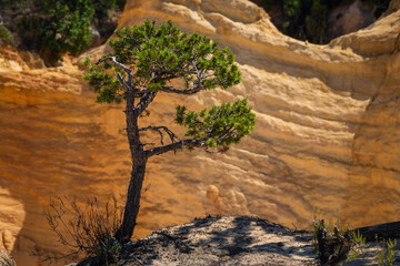 Colorful rock formations from ocher in the Colorado Provencal, Provence, France