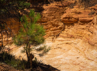 Abstract Rustrel canyon ocher cliffs landscape. Provencal Colorado near Roussillon, Southern France.
