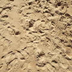 Beach sand texture with sunlight