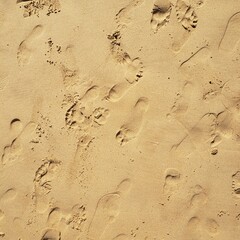 Beach sand texture with sunlight